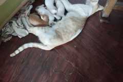 WhatsApp-Image-2026-03-11-at-12.27.20-PM